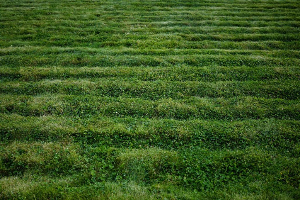 Cover-Crop