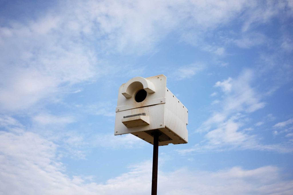 Owl-Box