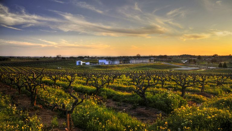 SFD-Amador-County-Wines-by-Laura-Burgess_Andis_CO_Andis_Wines_Hero_2520x1420-768x432